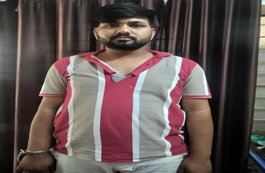 गोले
