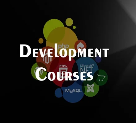 Web development course